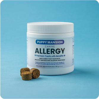 Canine Allergy