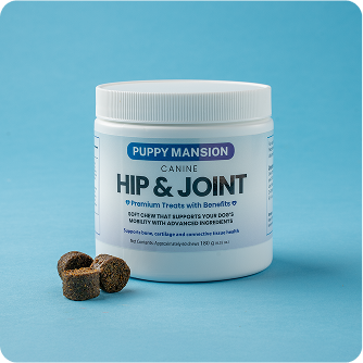 Hip & Joint