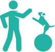 Low-stress handling
