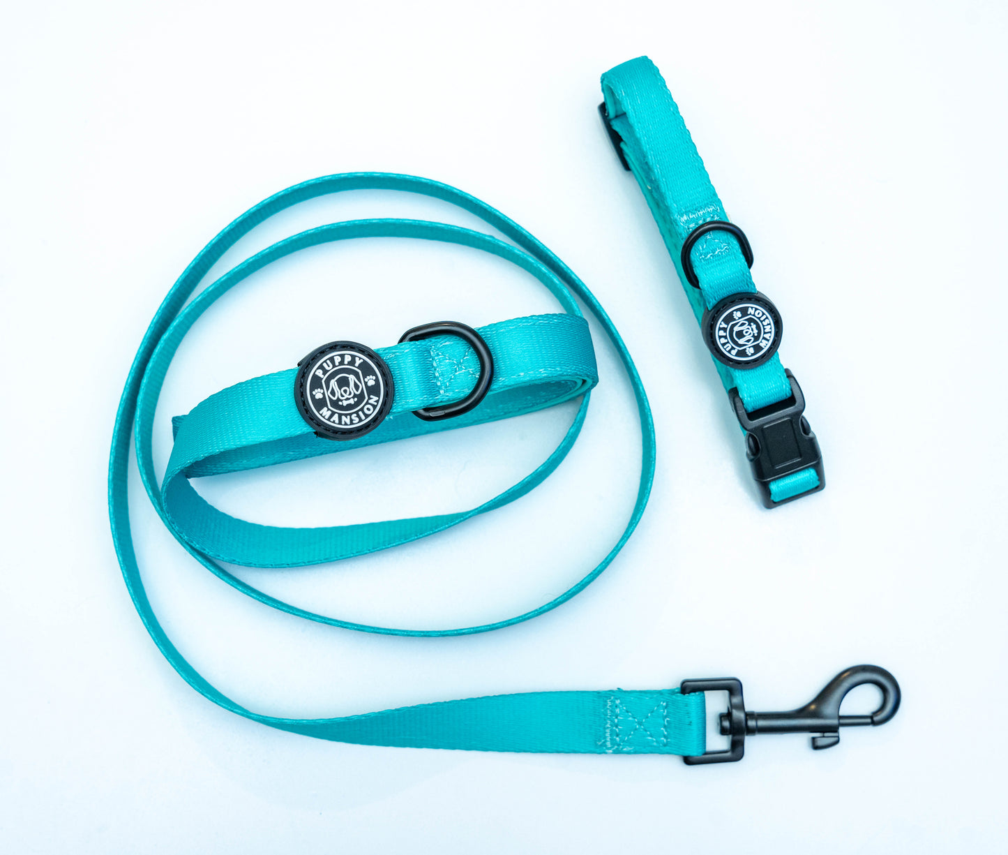 Dog Leash