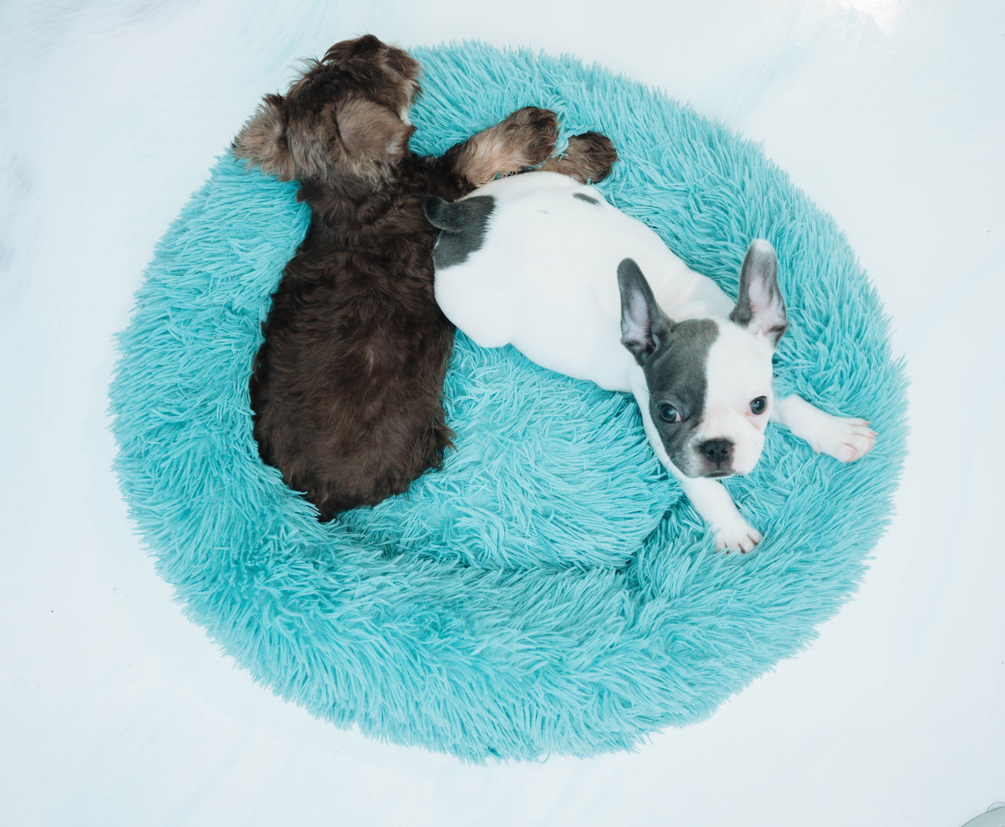 Plush Donut Dog Bed