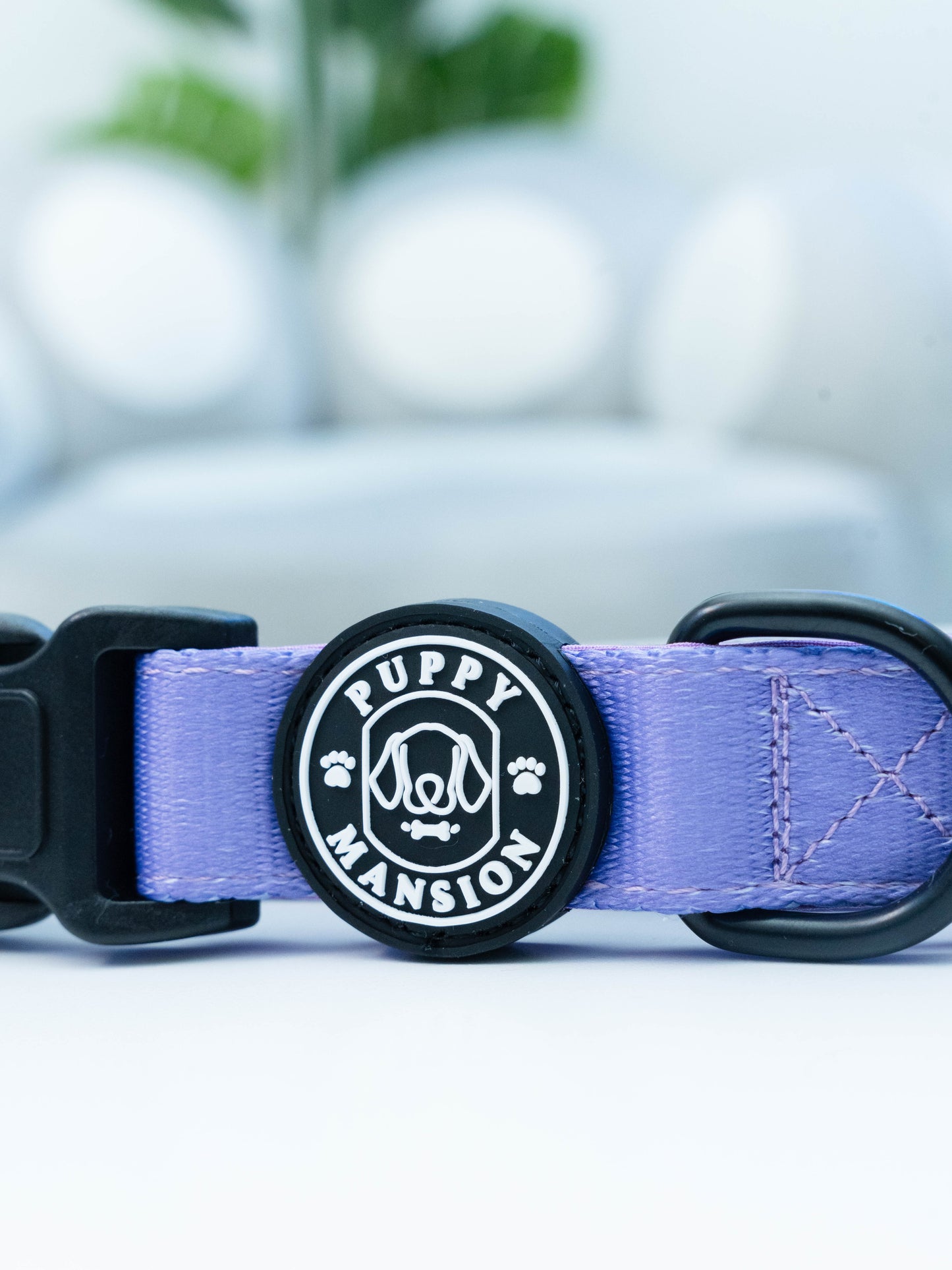 Dog Collar