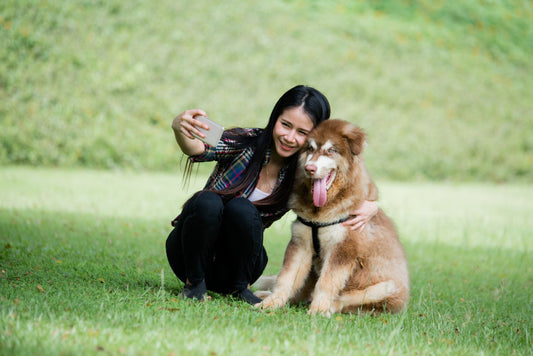Choosing the Right Puppy Breed for Your Lifestyle: Expert Tips for Every Family