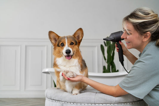 The Importance of Regular Grooming for Puppies: Essential Care Tips for Healthy, Happy Pups