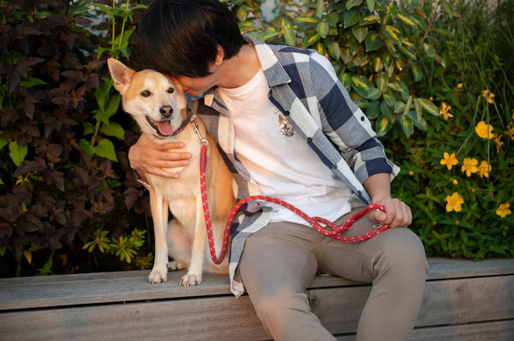 Top 5 Commands Every Puppy Should Learn: Essential Puppy Care Tips