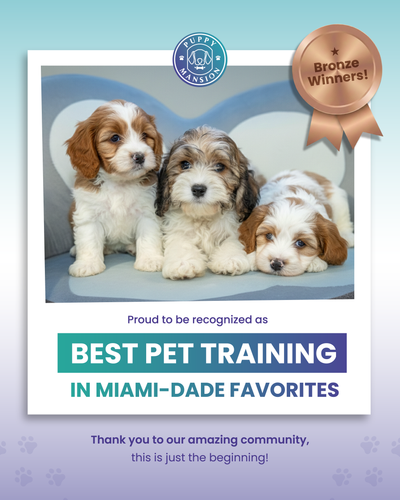 Miami Dade Favorites