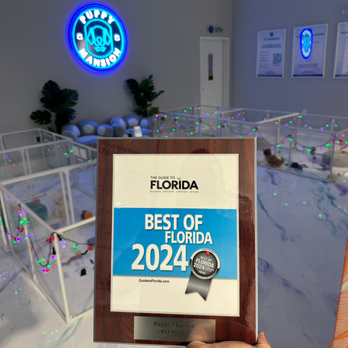 Award-Winning Puppy Store