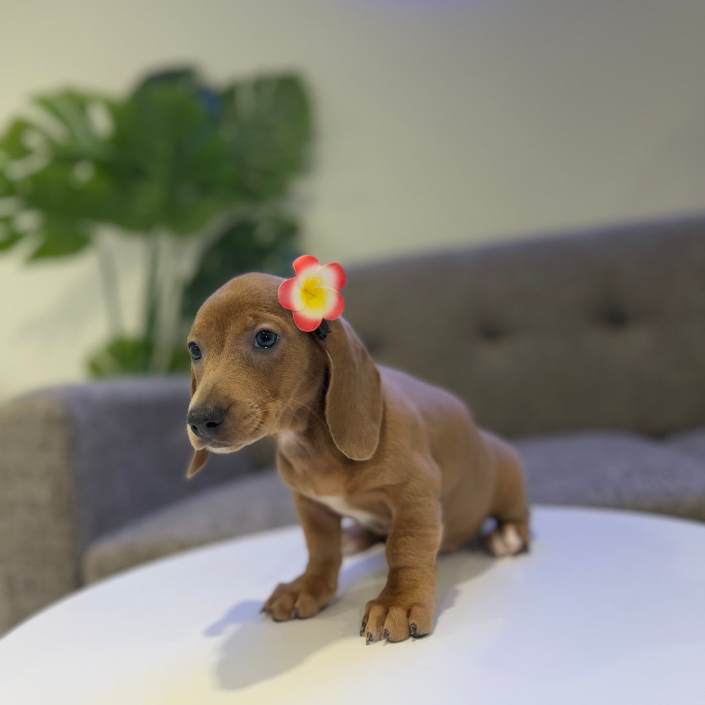 Matilda