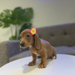 Matilda