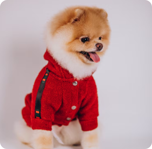 Puppy playing with ball