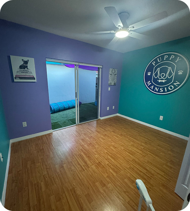 Dog boarding and daycare